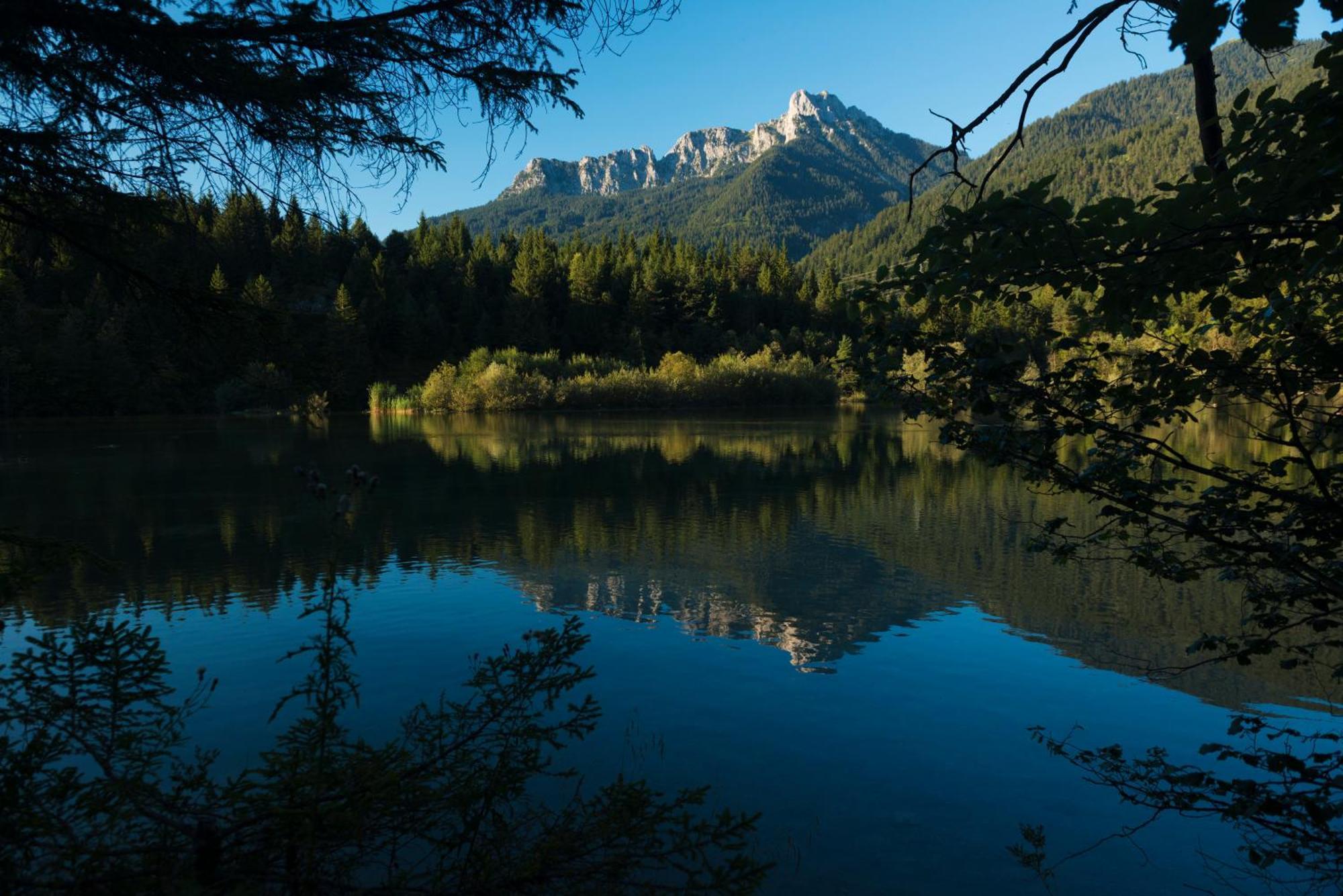Alpenhof Wängle Aparthotel Reutte Exteriör bild